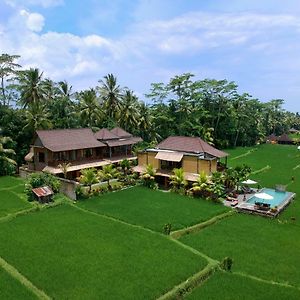 Suite Rice Paddy View